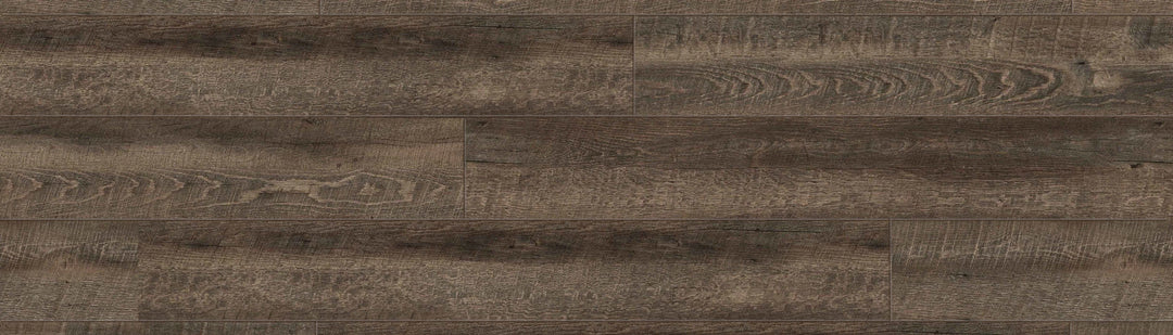 American Elm