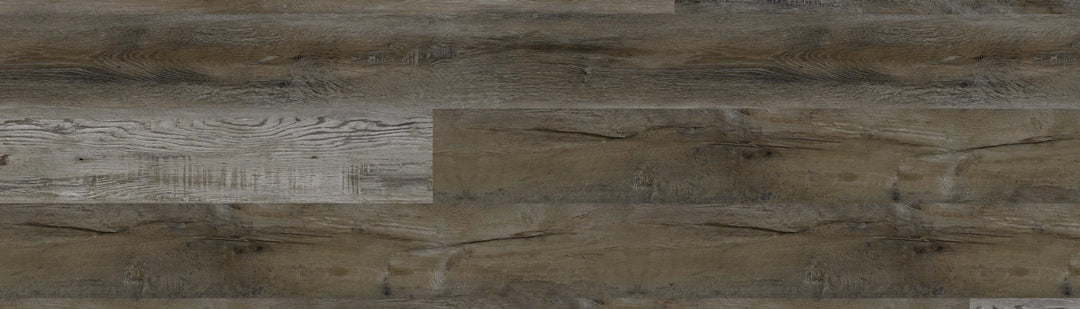 European Ash