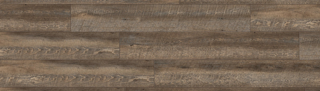 Mulberry Oak