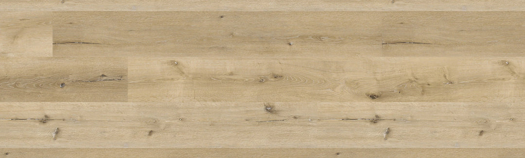 Chestnut Oak