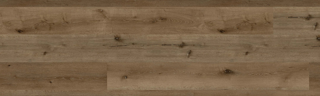 Bear Oak