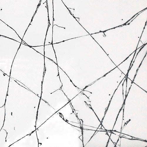 Marble White