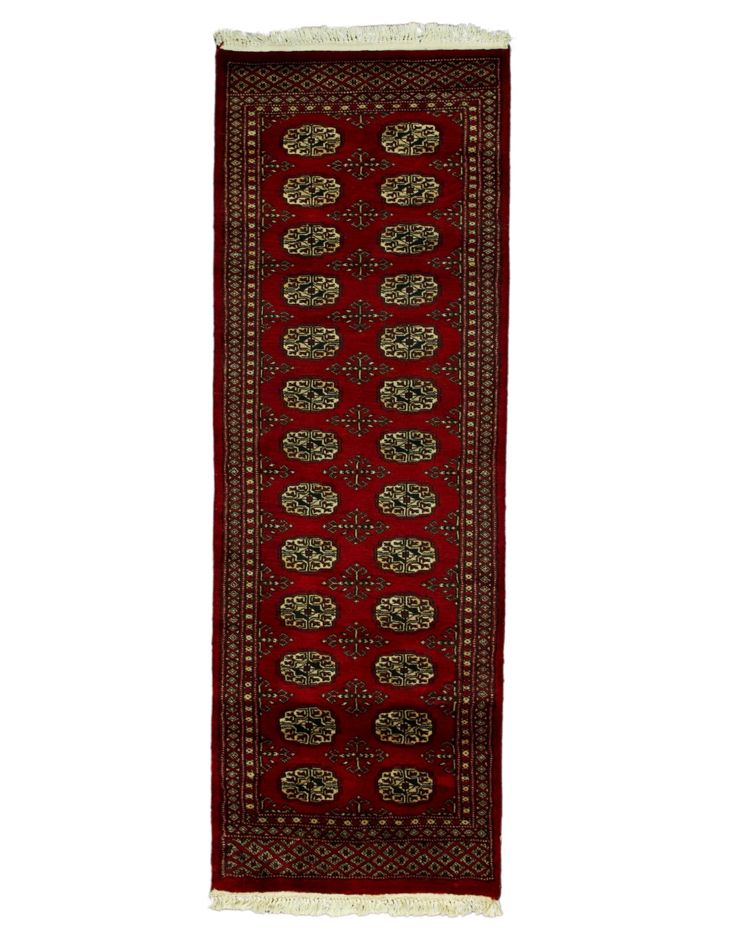 T161 Bokhara
