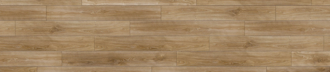 Silver Elm